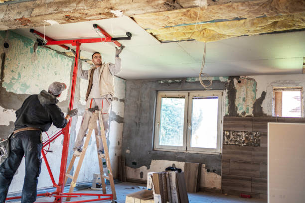 Best Eco-Friendly Insulation in Stlman Valley, IL