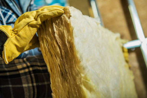 Best Specialized Insulation Services in Stlman Valley, IL