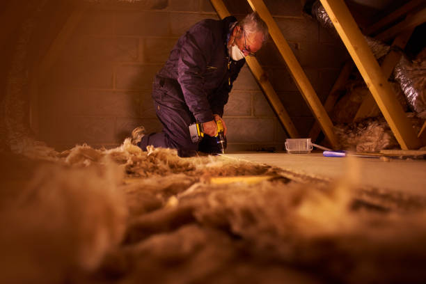 Best Geographic-Specific Insulation Services in Stlman Valley, IL